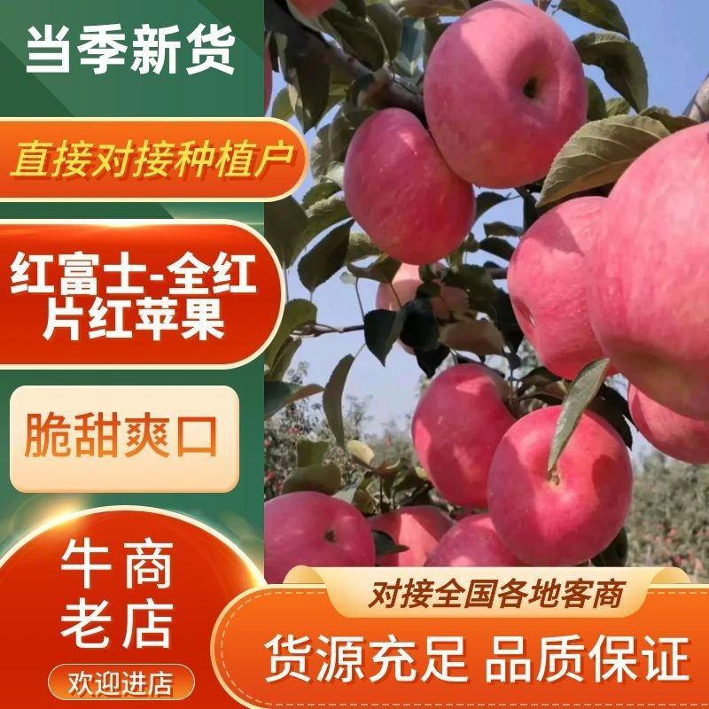 【烟台栖霞红富士】原产地直发脆甜多汁社区团购整车配送