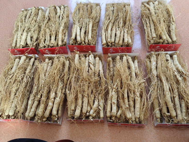 精选白参-产地直营-价格优惠规格齐全参地一发长年有货