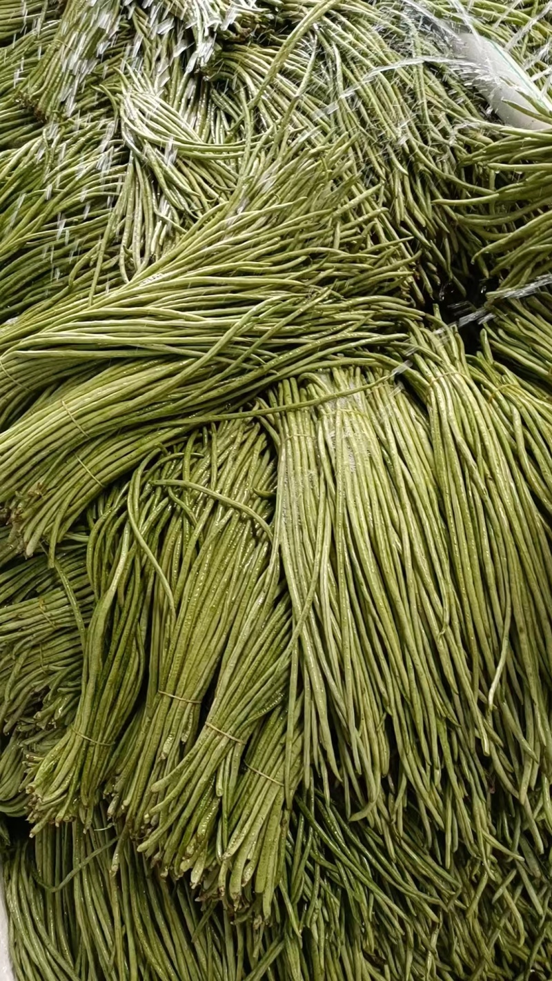 云南优质酸豇豆品质优良欢迎选购量大从优可协助