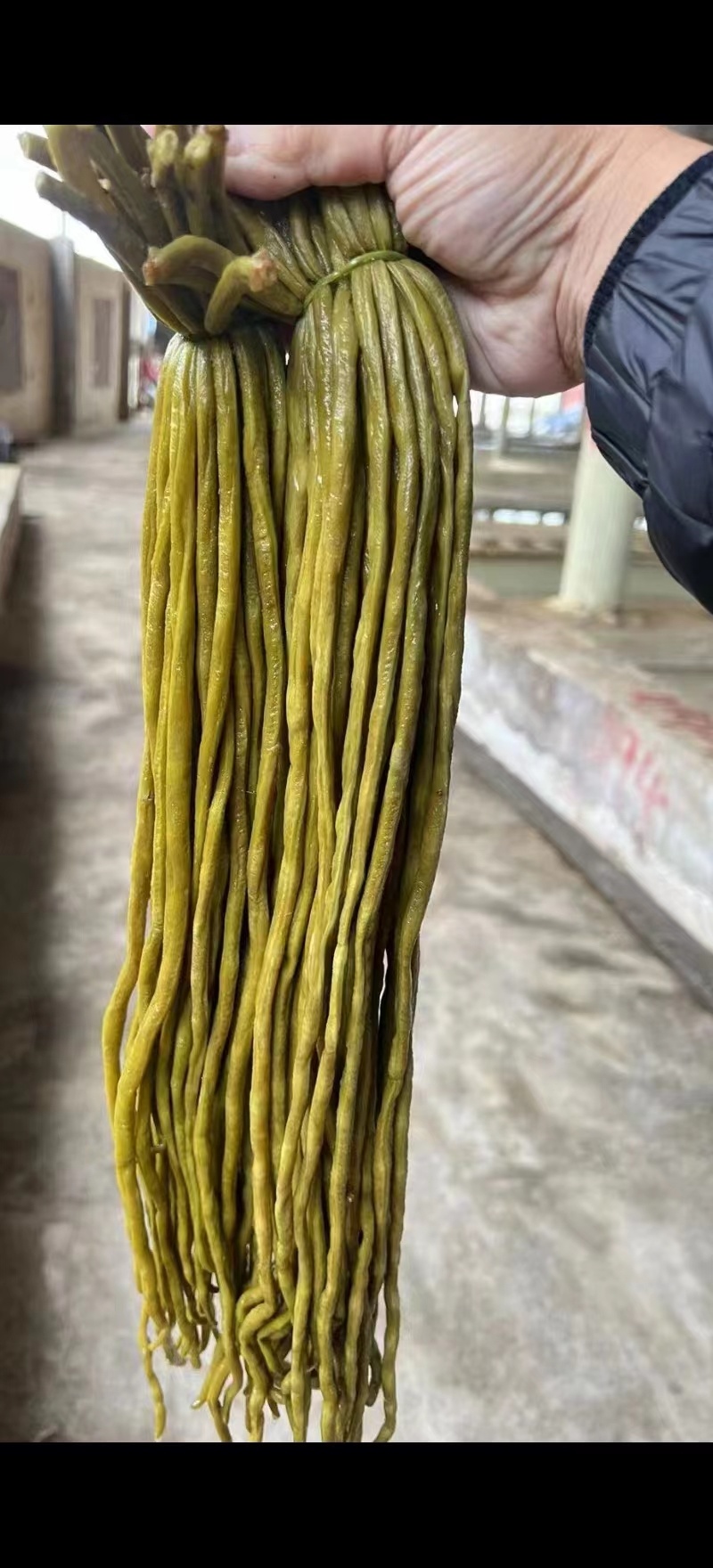 云南优质酸豇豆品质优良欢迎选购量大从优可协助