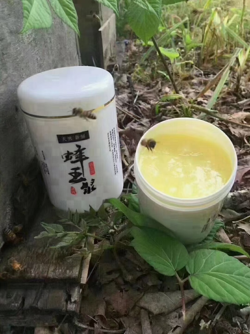 纯东北蜂王浆蜂皇浆蜂乳手挖速冻黑龙江蜂王浆