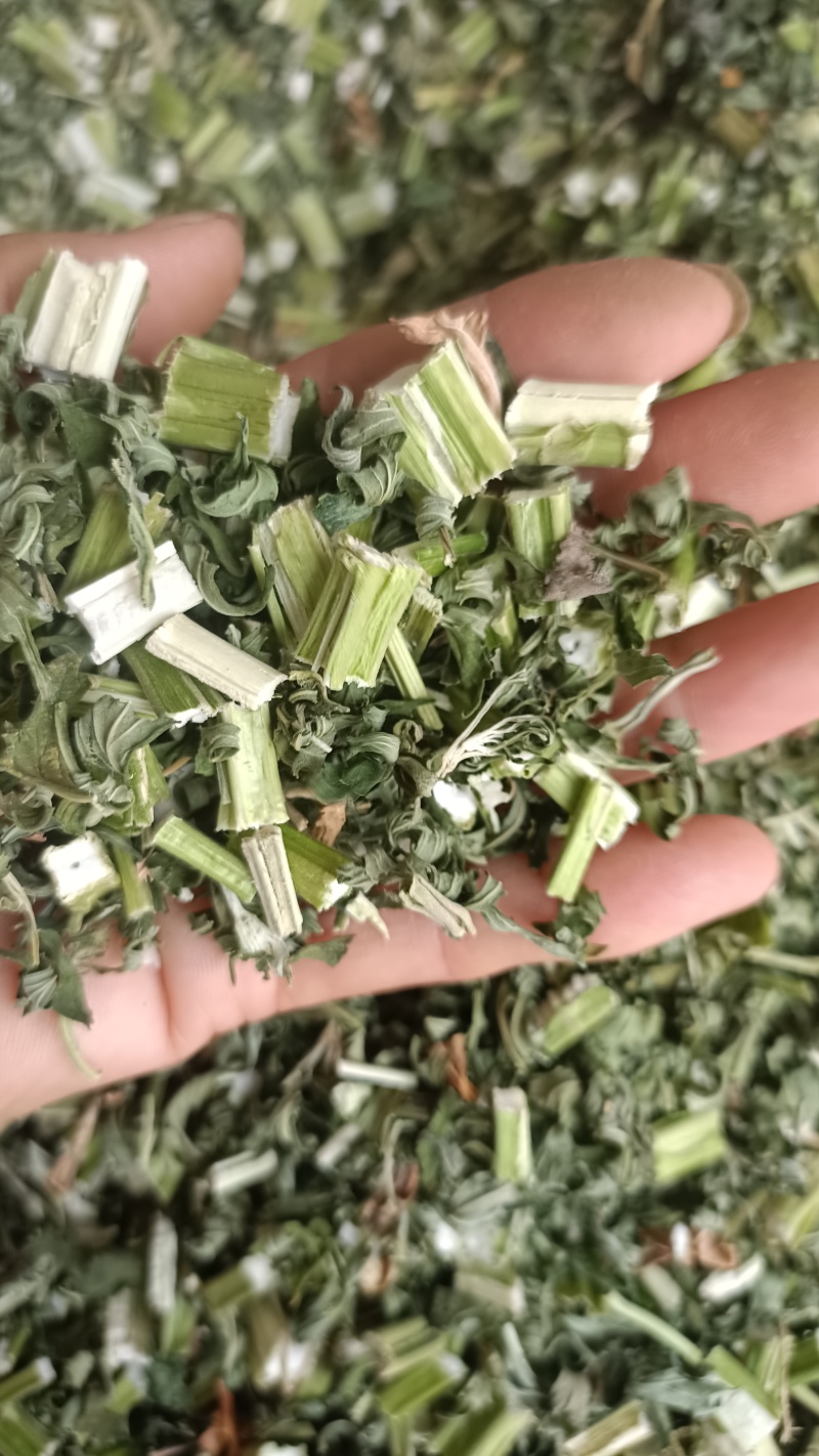 益母草，童子益母草，新货色青，自产自销，产地直发，有大货