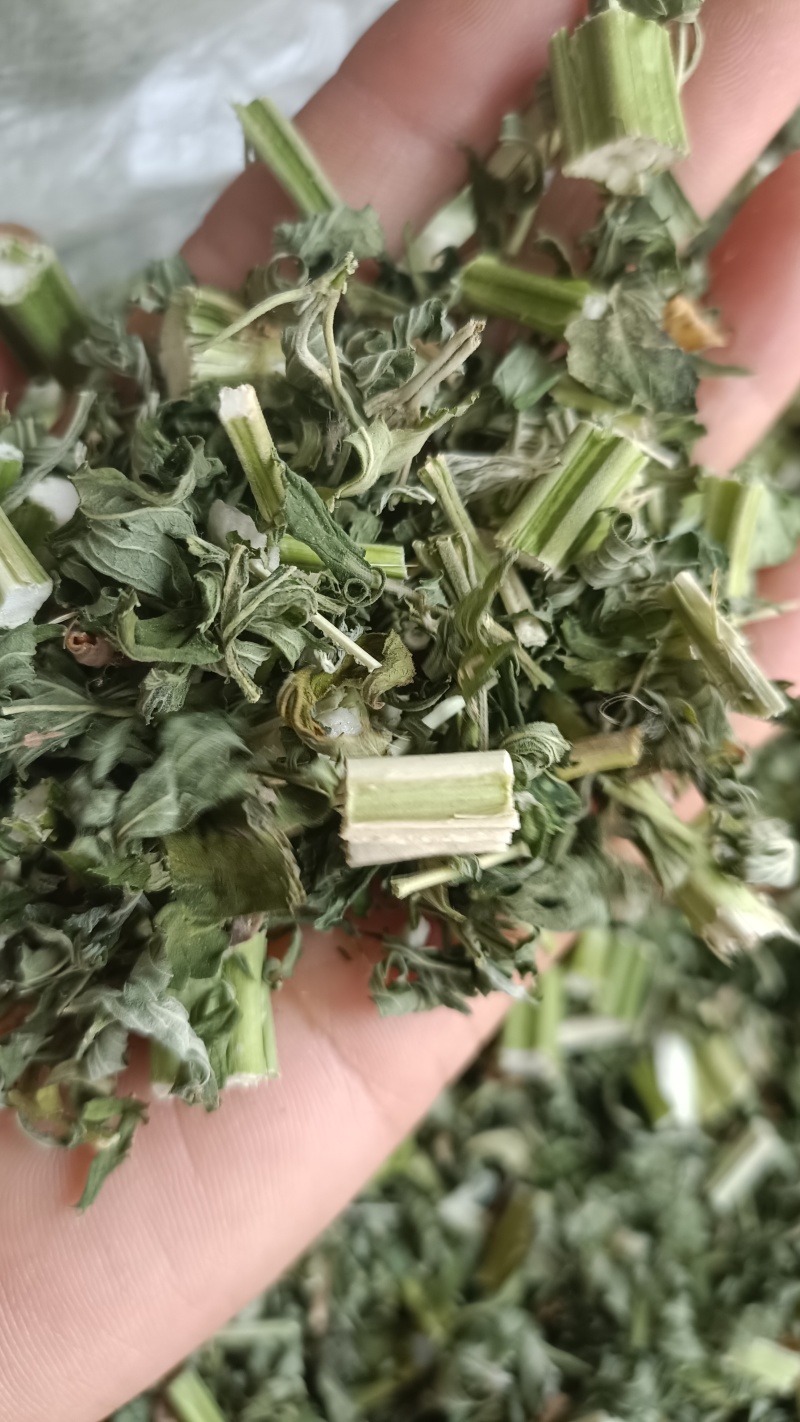 益母草，童子益母草，新货色青，自产自销，产地直发，有大货