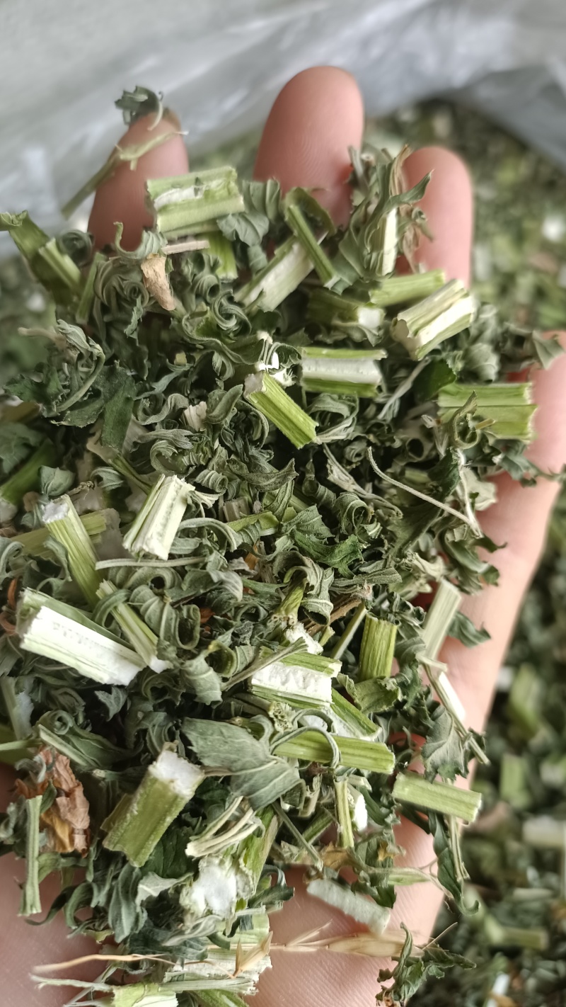 益母草，童子益母草，新货色青，自产自销，产地直发，有大货