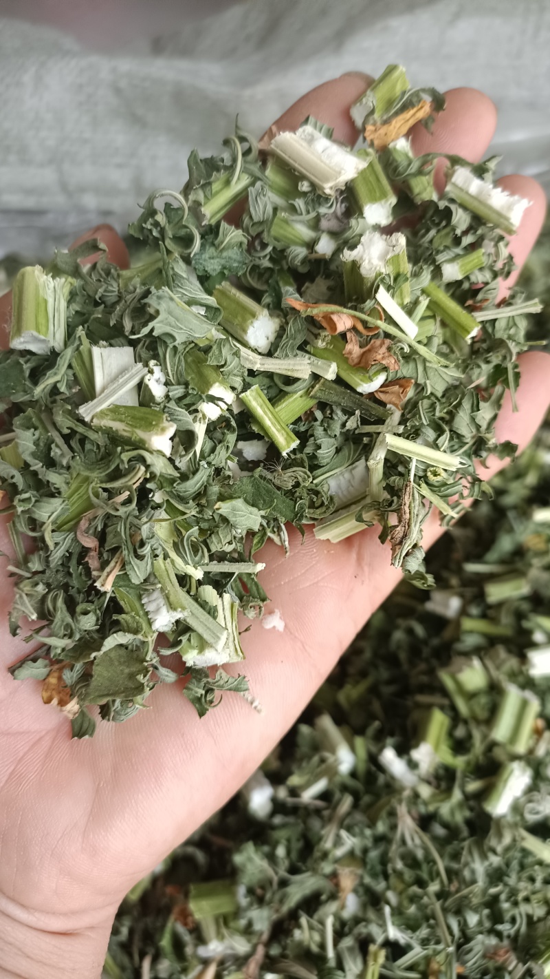 益母草，童子益母草，新货色青，自产自销，产地直发，有大货