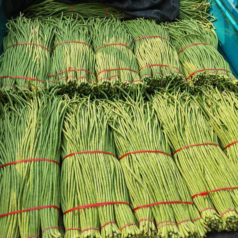 山东产地直发精品长豆角价格优惠代收代发全国