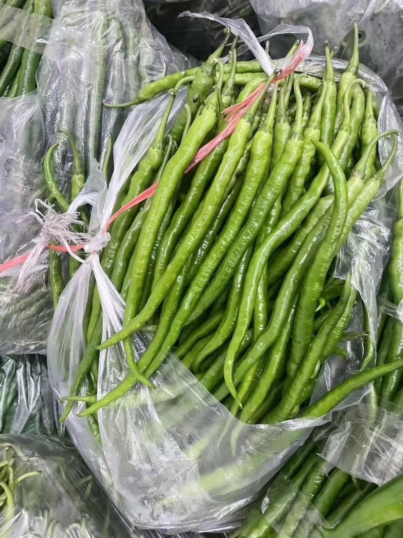鲜辣椒
