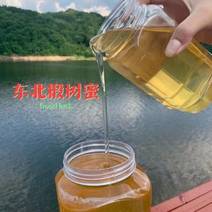 东北深山椴树蜜