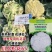 川岛松花65松花菜种子早熟爽脆花梗淡绿花椰菜种子春秋两用
