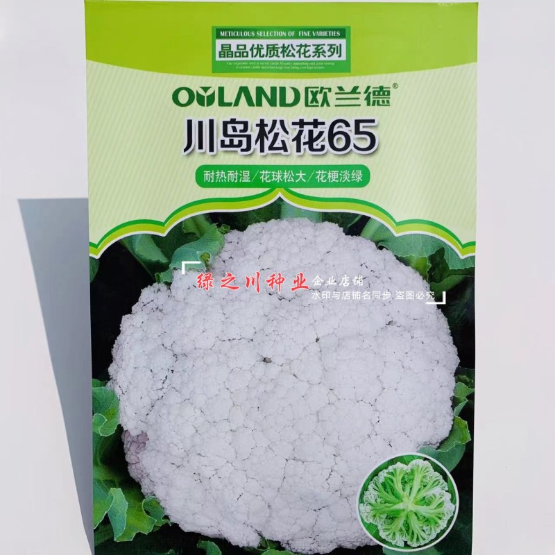 川岛松花65松花菜种子早熟爽脆花梗淡绿花椰菜种子春秋两用