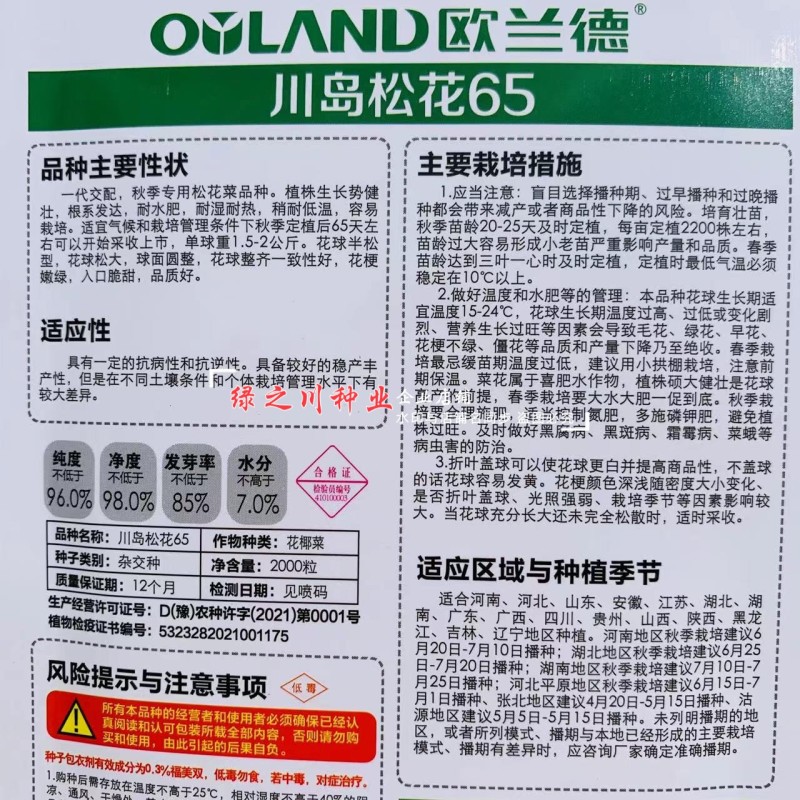 川岛松花65松花菜种子早熟爽脆花梗淡绿花椰菜种子春秋两用