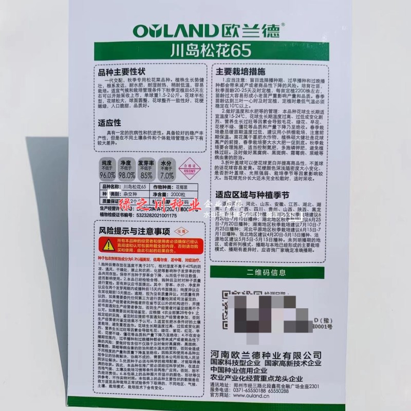 川岛松花65松花菜种子早熟爽脆花梗淡绿花椰菜种子春秋两用
