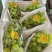 四川大凉山精品阳光玫瑰