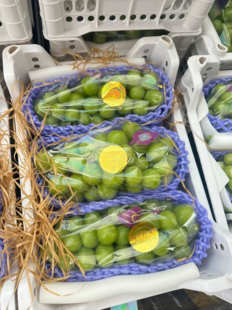 四川大凉山精品阳光玫瑰
