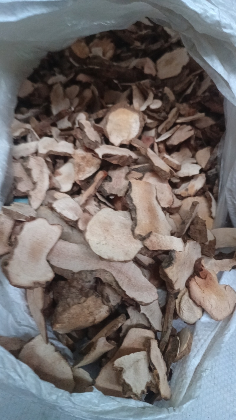 土茯苓