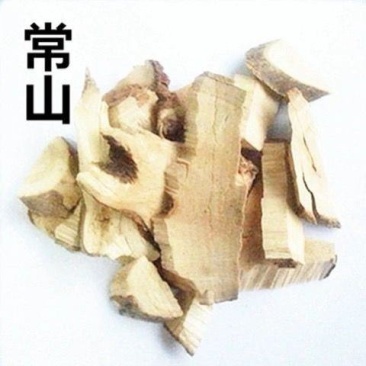 中药材常山山常山土常山