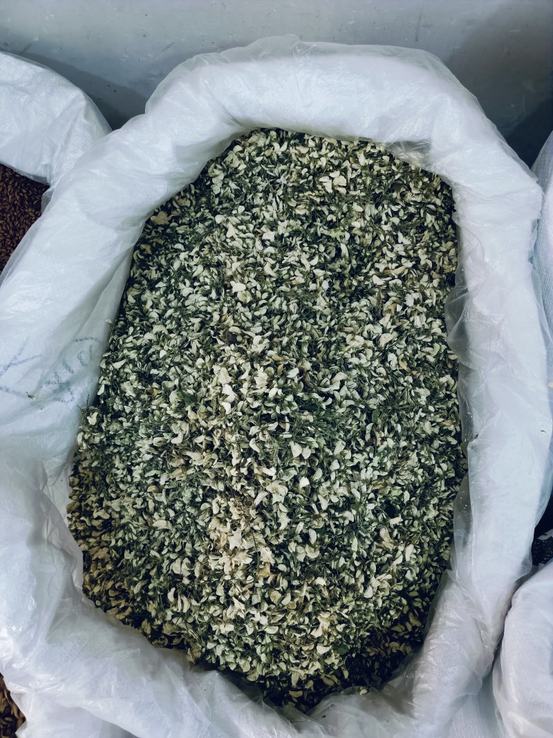 洋槐花，槐花脱水干洋槐花洋槐花干品欢迎咨询合作