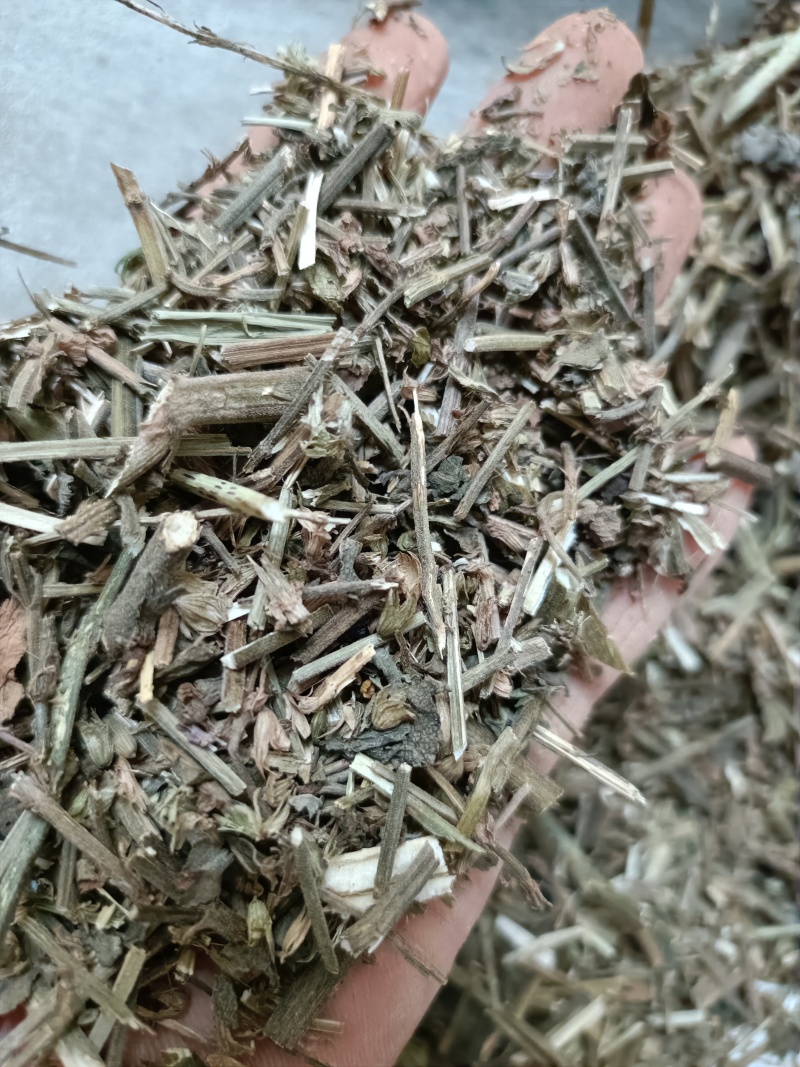 鼠尾草，中药材鼠尾草片新货，同时购销各种中药材欢迎咨询