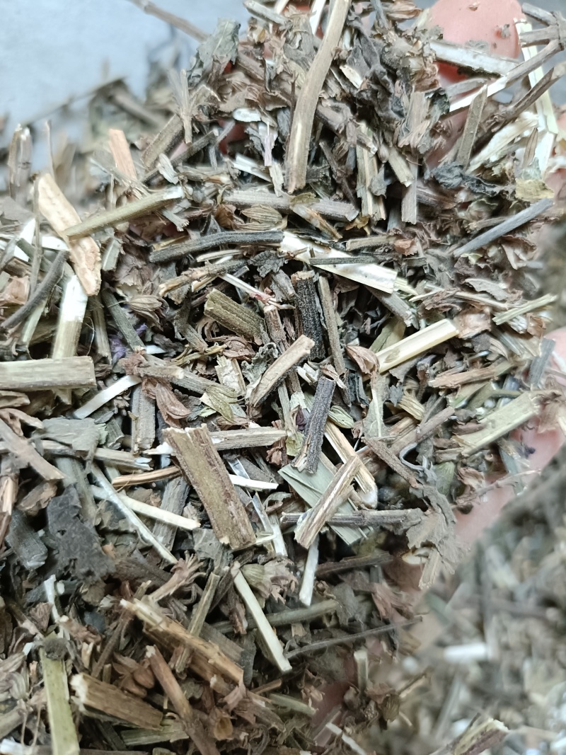 鼠尾草，中药材鼠尾草片新货，同时购销各种中药材欢迎咨询
