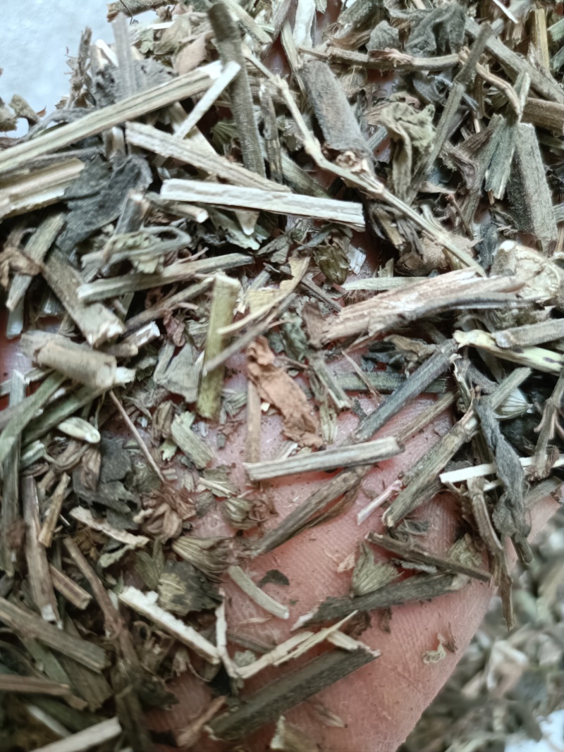 鼠尾草，中药材鼠尾草片新货，同时购销各种中药材欢迎咨询