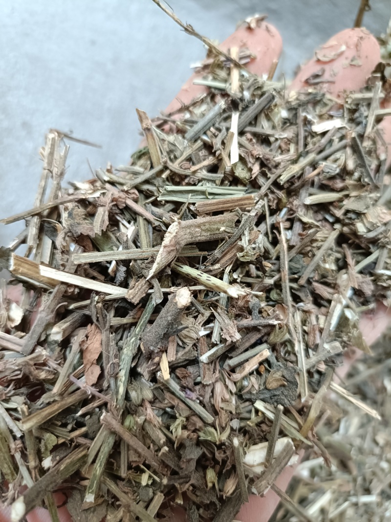 鼠尾草，中药材鼠尾草片新货，同时购销各种中药材欢迎咨询