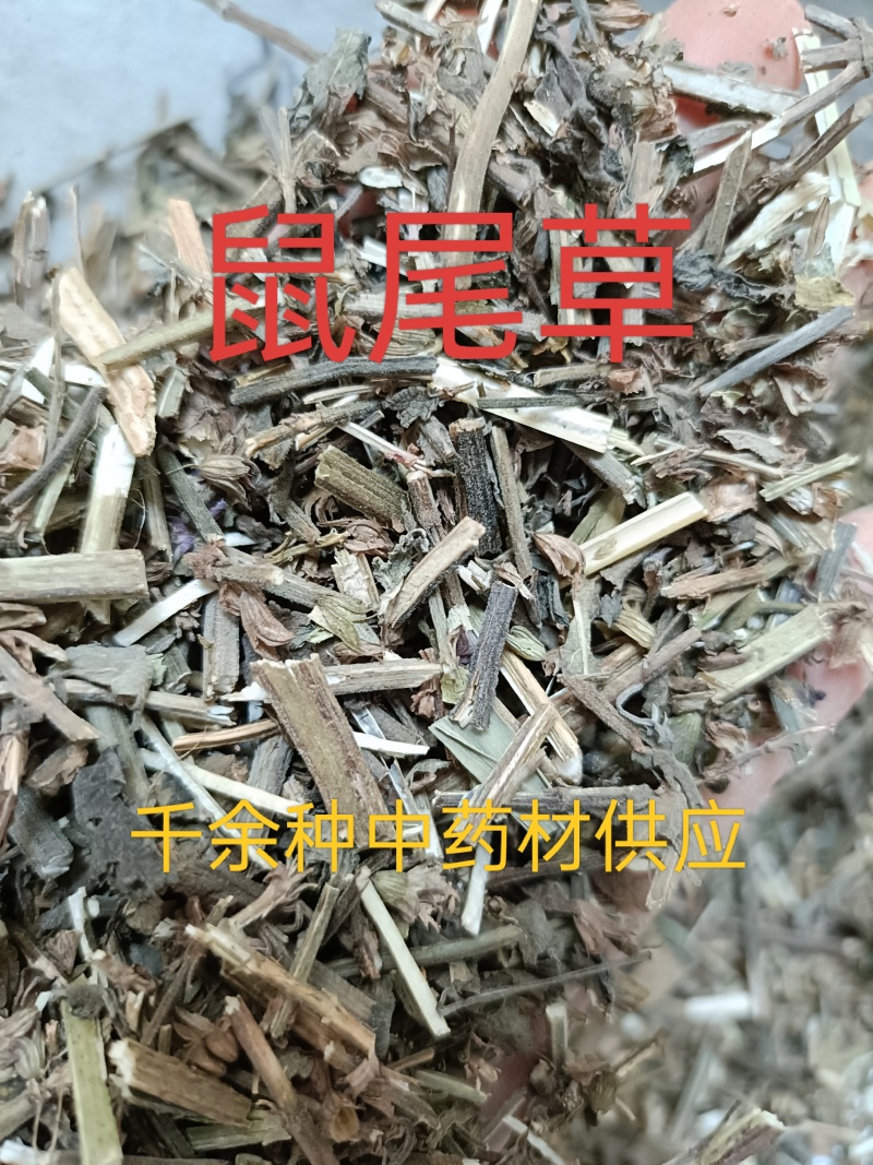 鼠尾草，中药材鼠尾草片新货，同时购销各种中药材欢迎咨询