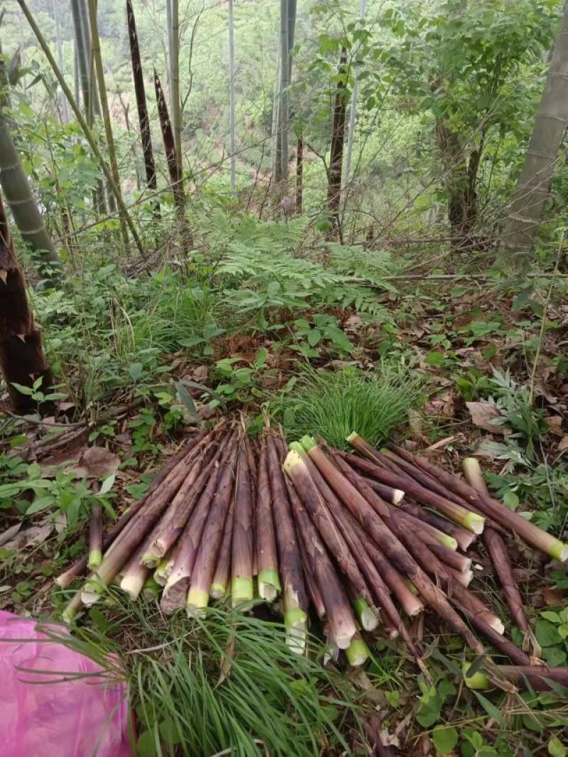 笋丝，大别山区野生，无硫，天然晒干，货真价实！包邮
