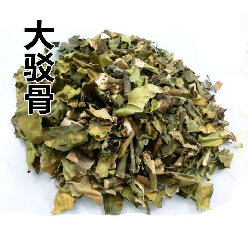 中药材大驳骨