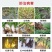 98%恶霉灵粉剂枯萎根腐病抗重茬土传病害效果好