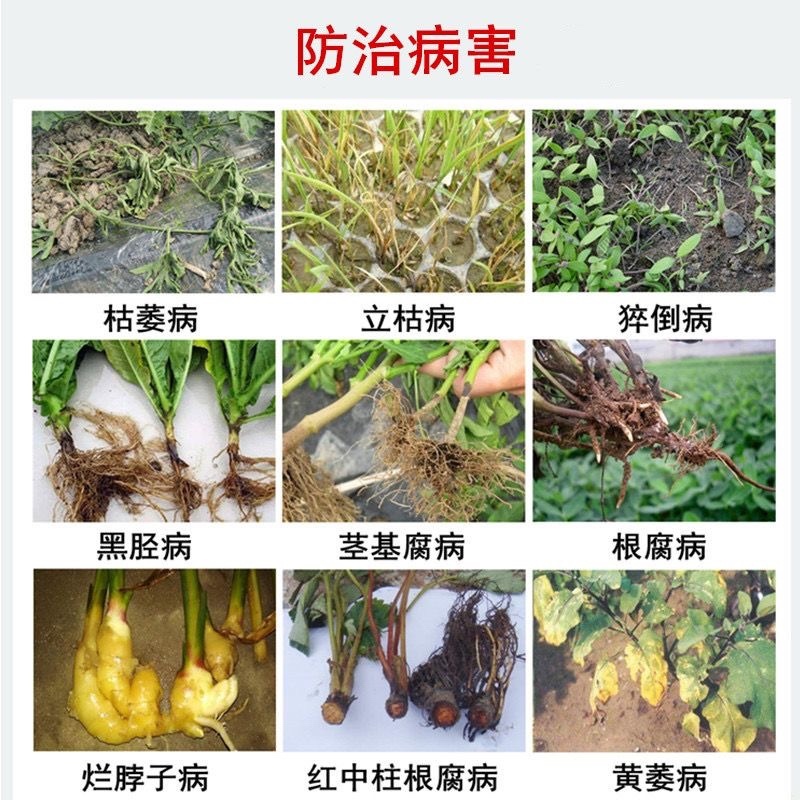 噁霉灵可湿性粉剂98%恶霉灵粉剂恶霉灵