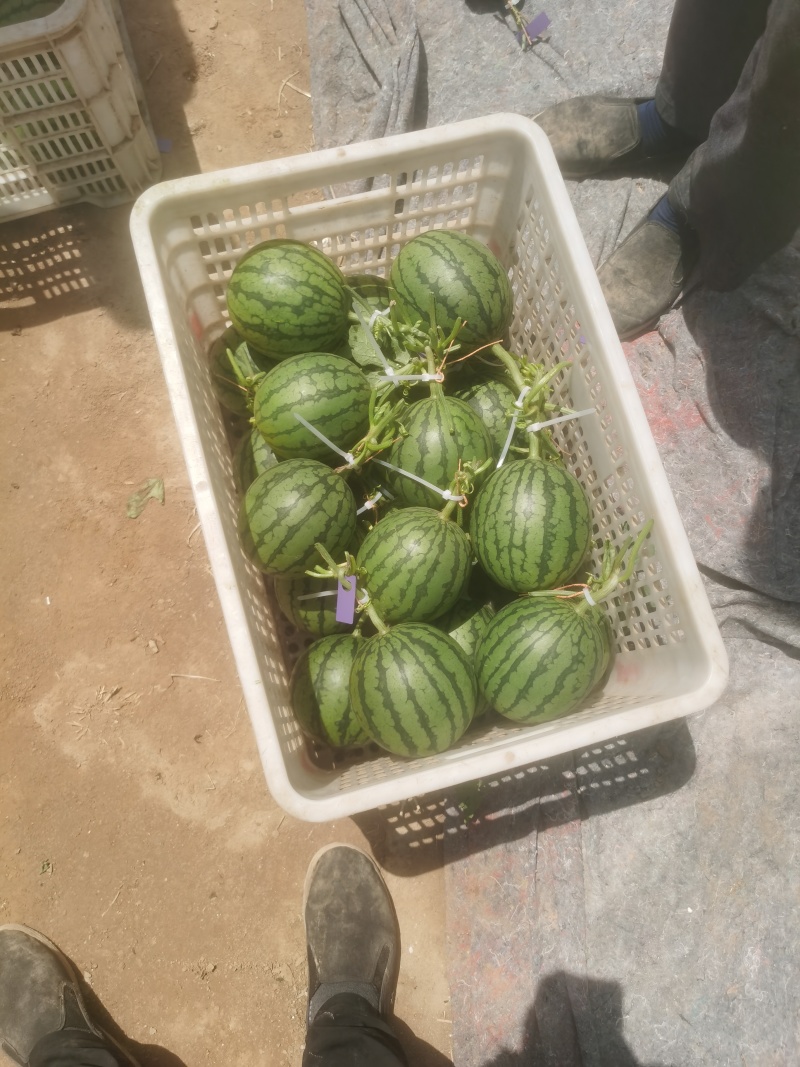 2k小西瓜