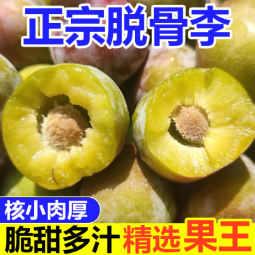 一件代发青脆李脱骨李子对接电商市场等客户欢迎咨询合作