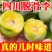 一件代发青脆李脱骨李子对接电商市场等客户欢迎咨询合作