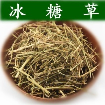 冰糖草野甘草通花草土甘草四时茶珠子草