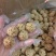 荞麦球粗粮丸子坚果酥展会地摊10元一盆模式零食批发