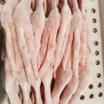 鹅掌