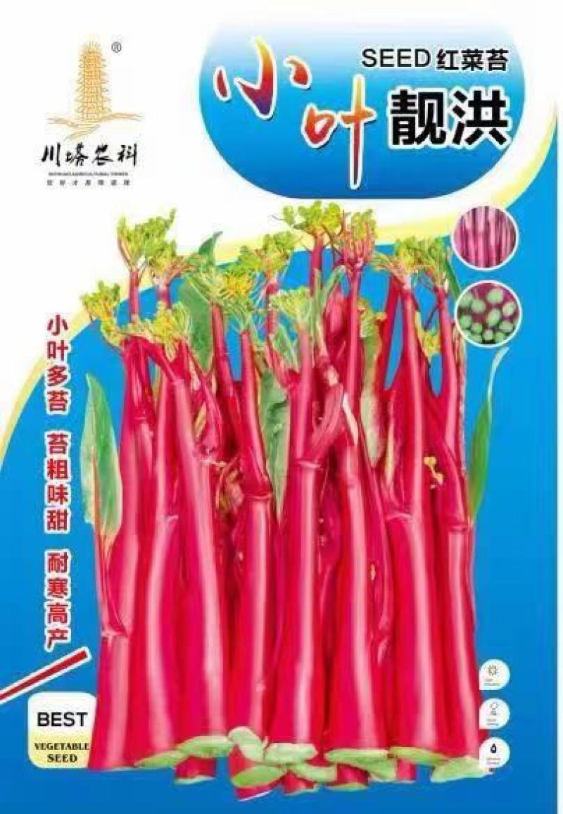 红菜苔种子小叶靓洪小叶多苔苔粗味甜早熟播种到收6o天