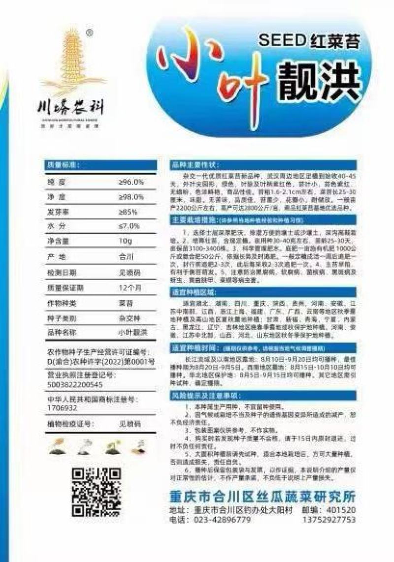 红菜苔种子小叶靓洪小叶多苔苔粗味甜早熟播种到收6o天