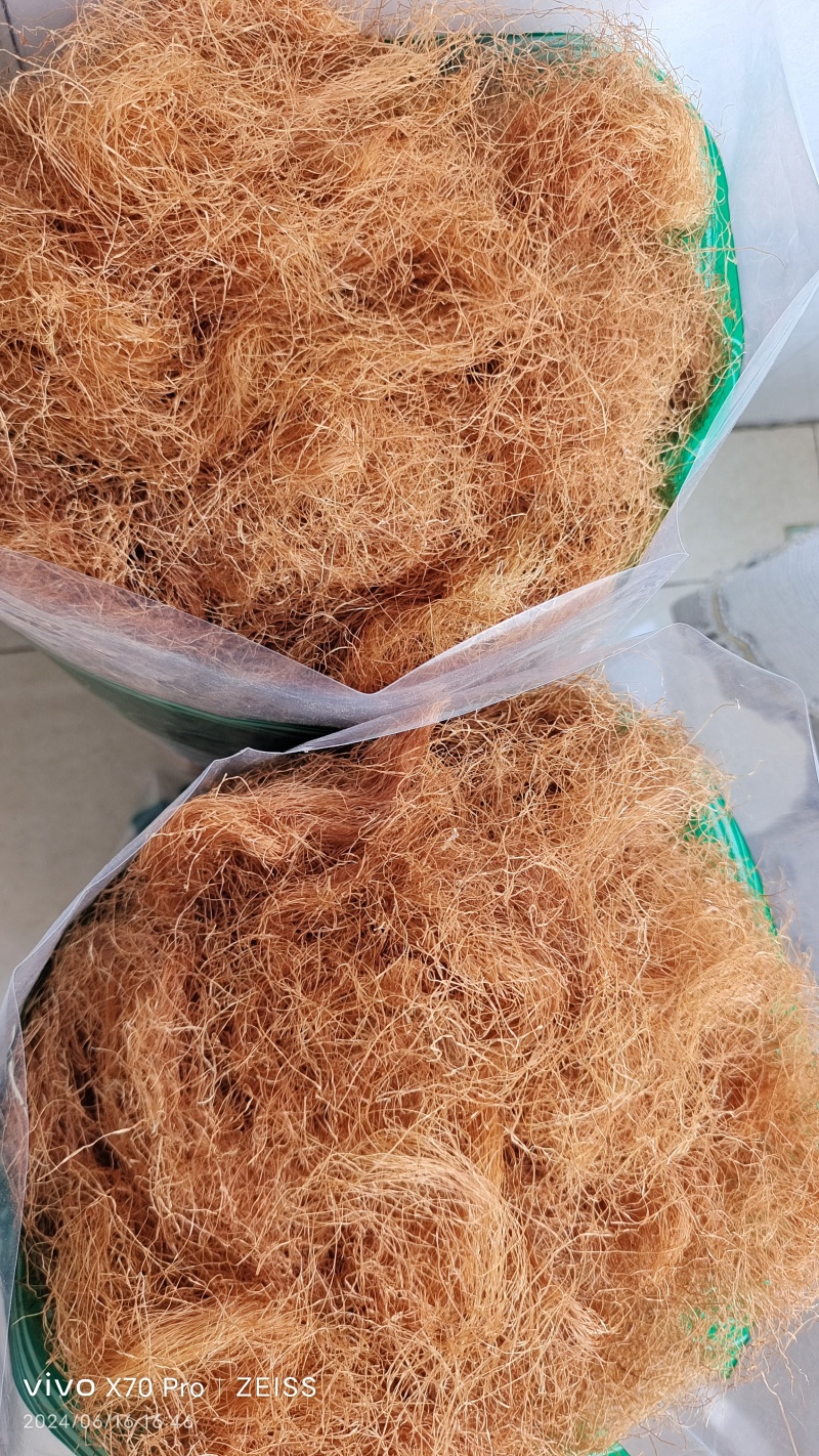 玉米须去黑头颜色均匀选货泡茶量大从优