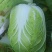 黄心大白菜