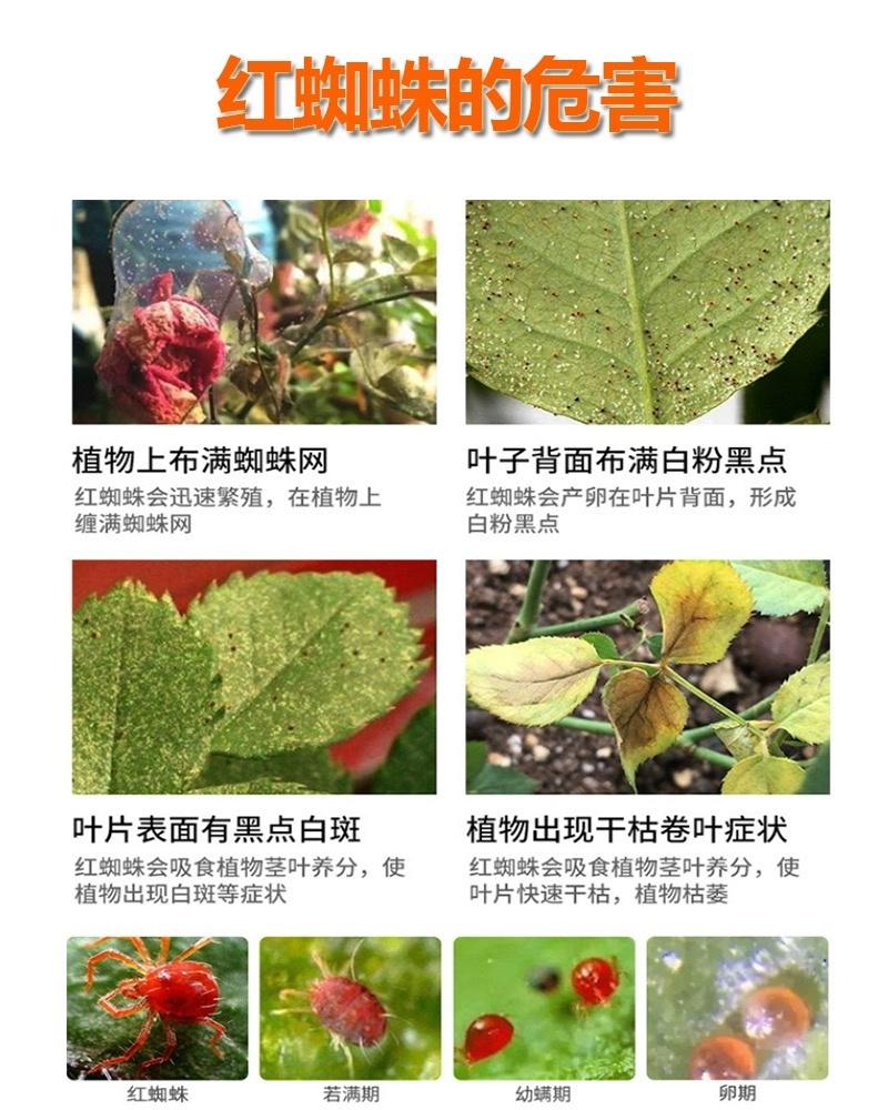 利蒙特金刚拳-50%联肼·乙螨唑货源充足欢迎咨询
