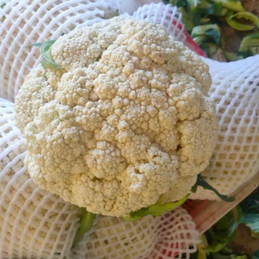 松花菜大量上市，可以视频看货
