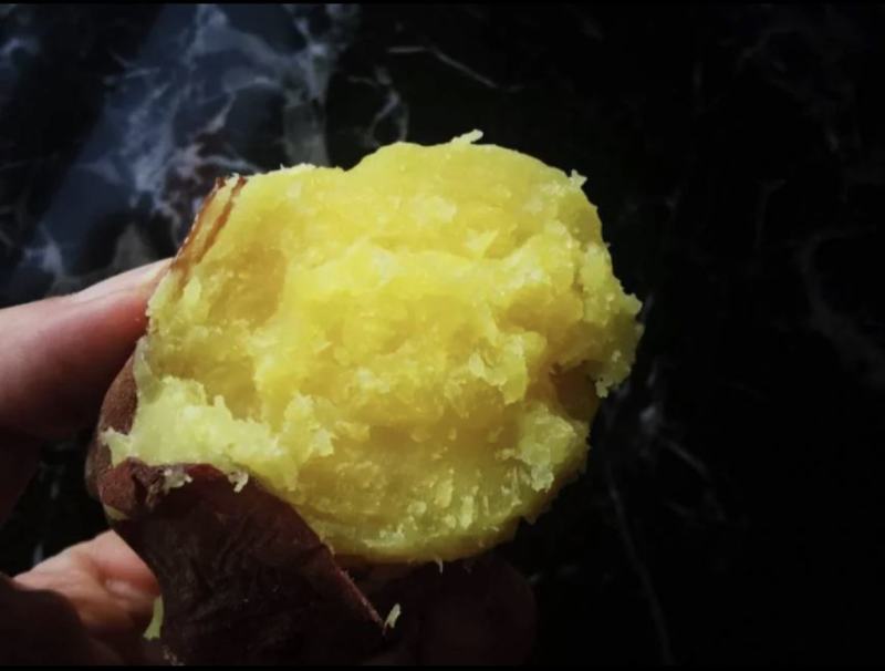 正宗玛莎莉蜜薯52糖心黄心地瓜，支持一件代发，招代理