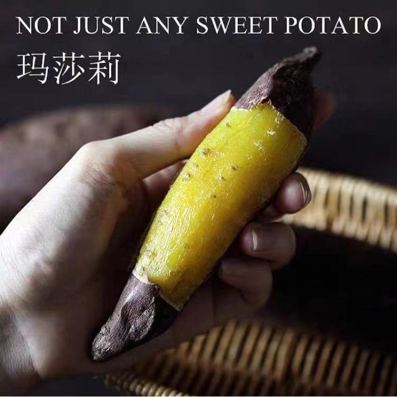 正宗玛莎莉蜜薯52糖心黄心地瓜，支持一件代发，招代理