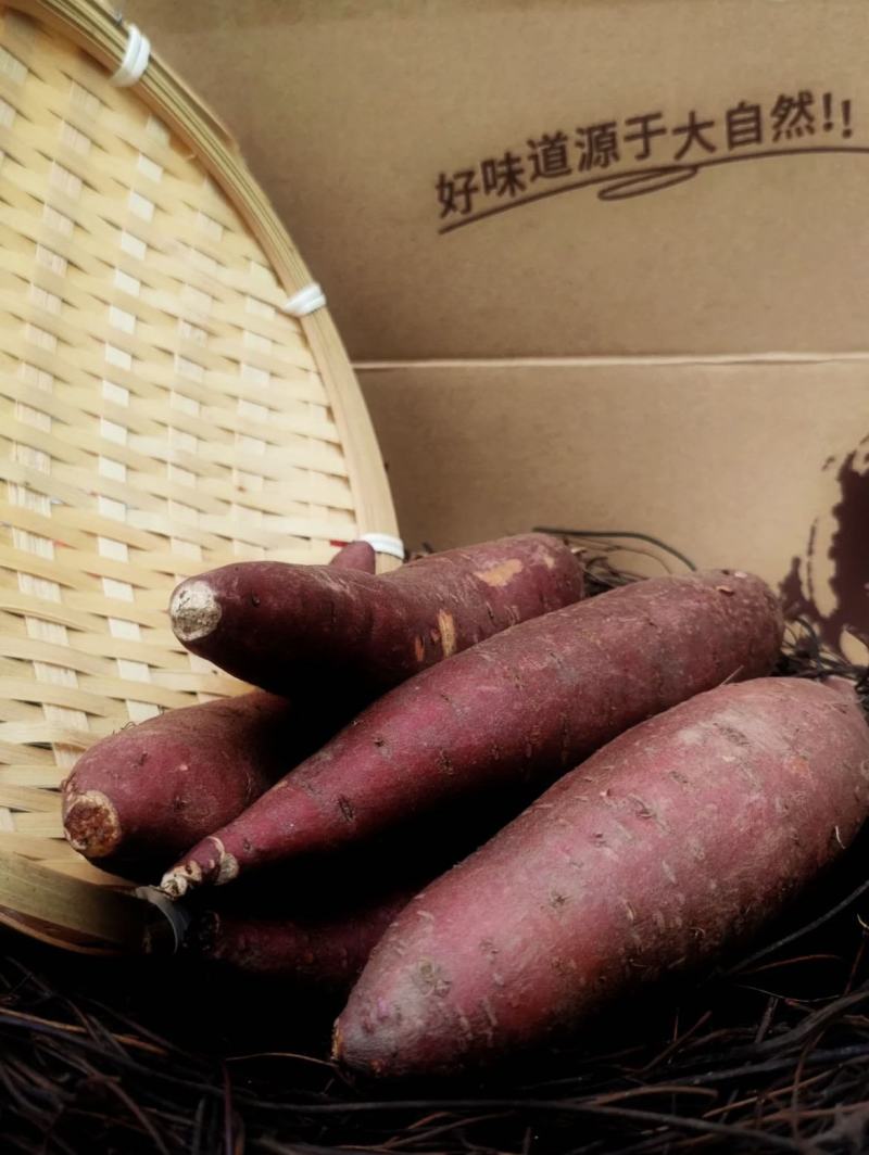 正宗玛莎莉蜜薯52糖心黄心地瓜，支持一件代发，招代理