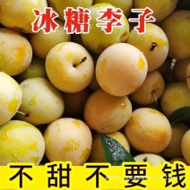 一件代发冰糖李大量上市，口感颜色都是佳需要的老板请联系