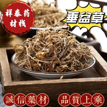 垂盆草祥泰药材栈中药材批发零售实物拍摄量多从优欢迎咨询
