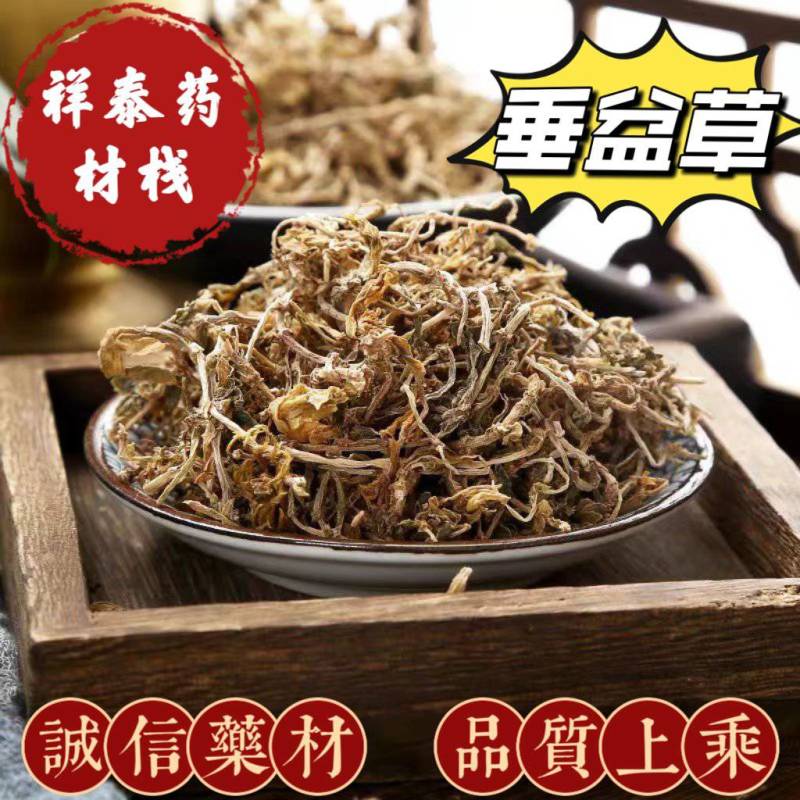 垂盆草祥泰药材栈中药材批发零售实物拍摄量多从优欢迎咨询