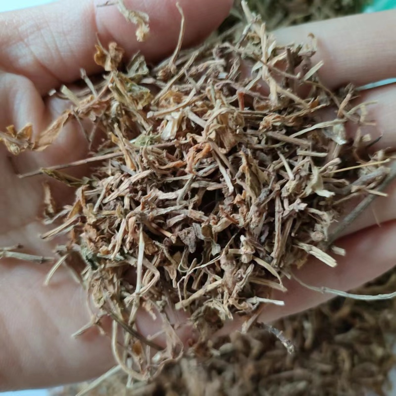 垂盆草祥泰药材栈中药材批发零售实物拍摄量多从优欢迎咨询