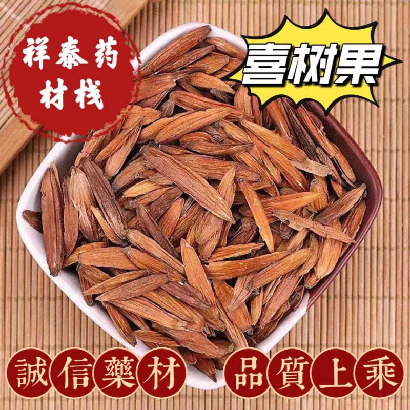 喜树果水栗子千丈树天梓树果干货喜树子祥泰药材栈